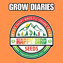 List of Our Genetics | Happy Birds Fly Higher!
